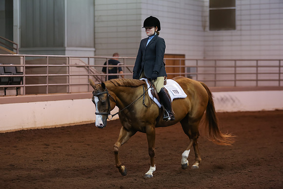 www.ngaphoto.com 2015 Georgia Federation of Saddle Clubs Championship Horse Show