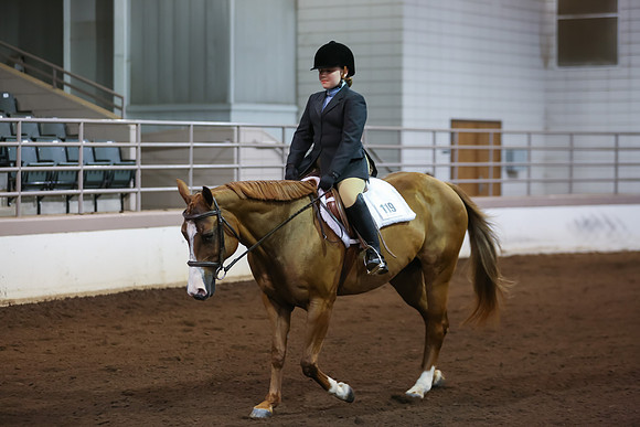 www.ngaphoto.com 2015 Georgia Federation of Saddle Clubs Championship Horse Show