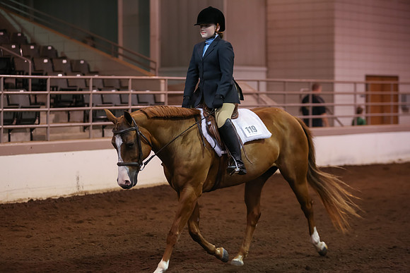 www.ngaphoto.com 2015 Georgia Federation of Saddle Clubs Championship Horse Show