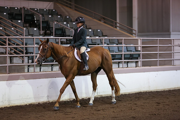 www.ngaphoto.com 2015 Georgia Federation of Saddle Clubs Championship Horse Show