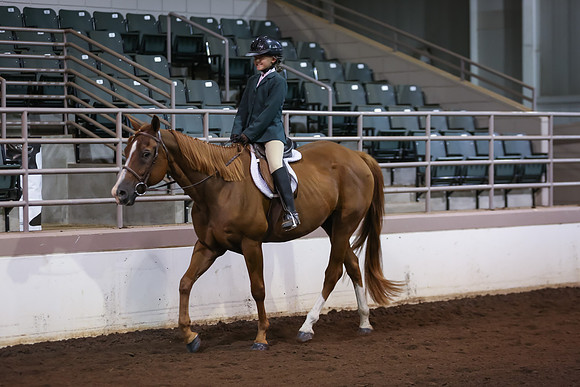 www.ngaphoto.com 2015 Georgia Federation of Saddle Clubs Championship Horse Show
