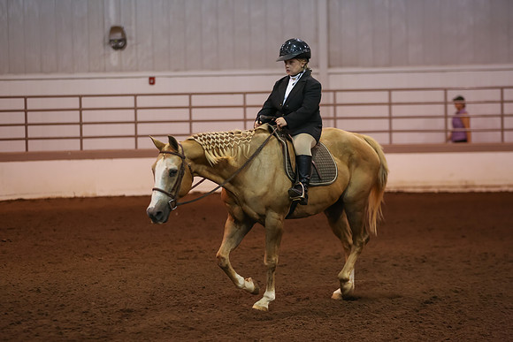 www.ngaphoto.com 2015 Georgia Federation of Saddle Clubs Championship Horse Show