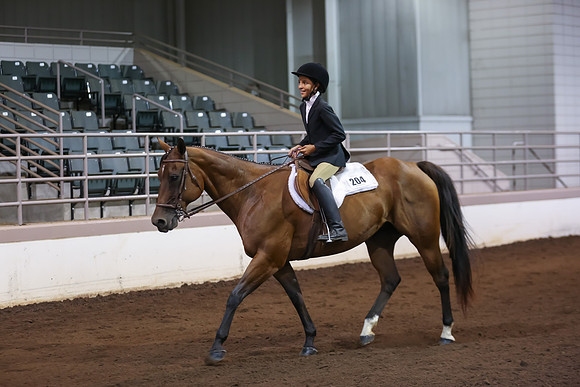 www.ngaphoto.com 2015 Georgia Federation of Saddle Clubs Championship Horse Show