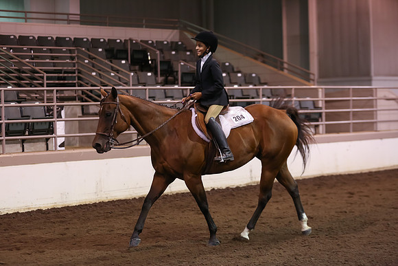 www.ngaphoto.com 2015 Georgia Federation of Saddle Clubs Championship Horse Show