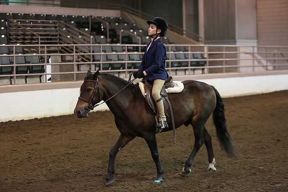 www.ngaphoto.com 2015 Georgia Federation of Saddle Clubs Championship Horse Show