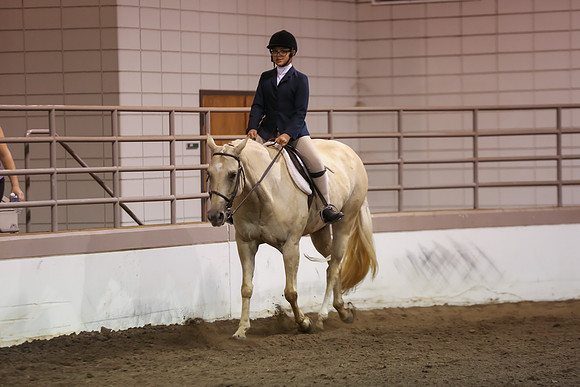 www.ngaphoto.com 2015 Georgia Federation of Saddle Clubs Championship Horse Show