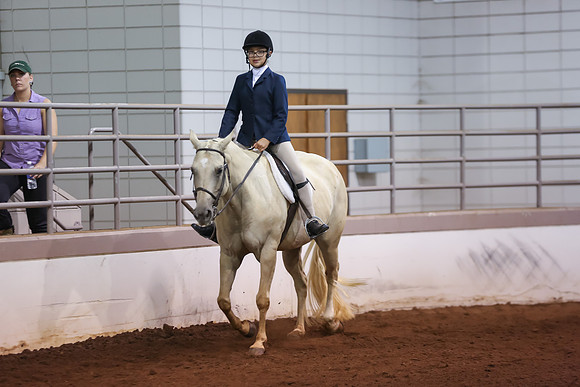 www.ngaphoto.com 2015 Georgia Federation of Saddle Clubs Championship Horse Show