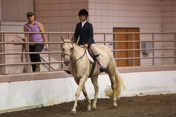 www.ngaphoto.com 2015 Georgia Federation of Saddle Clubs Championship Horse Show