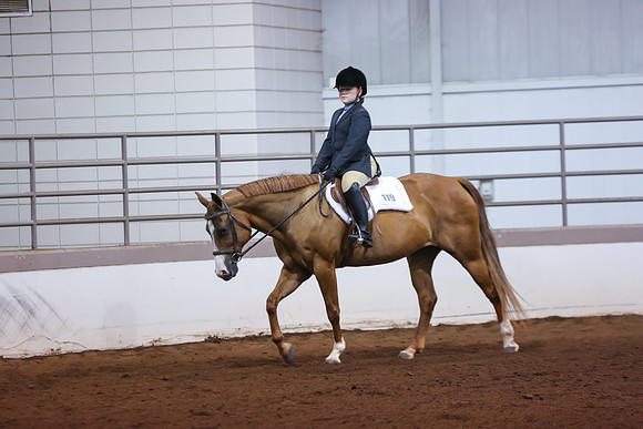www.ngaphoto.com 2015 Georgia Federation of Saddle Clubs Championship Horse Show