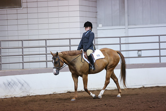 www.ngaphoto.com 2015 Georgia Federation of Saddle Clubs Championship Horse Show