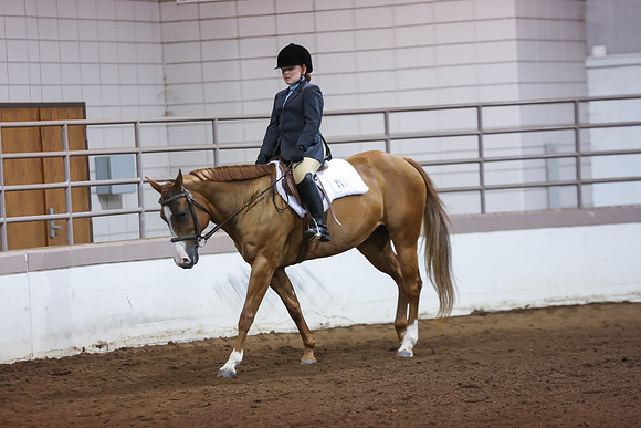 www.ngaphoto.com 2015 Georgia Federation of Saddle Clubs Championship Horse Show