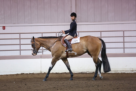 www.ngaphoto.com 2015 Georgia Federation of Saddle Clubs Championship Horse Show