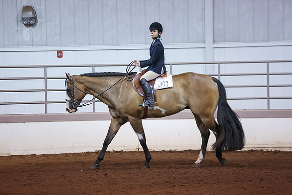 www.ngaphoto.com 2015 Georgia Federation of Saddle Clubs Championship Horse Show