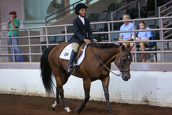 www.ngaphoto.com 2015 Georgia Federation of Saddle Clubs Championship Horse Show