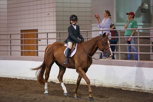 www.ngaphoto.com 2015 Georgia Federation of Saddle Clubs Championship Horse Show