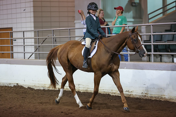 www.ngaphoto.com 2015 Georgia Federation of Saddle Clubs Championship Horse Show