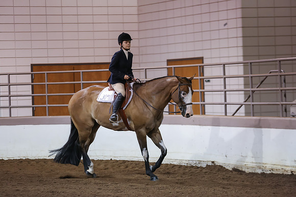 www.ngaphoto.com 2015 Georgia Federation of Saddle Clubs Championship Horse Show