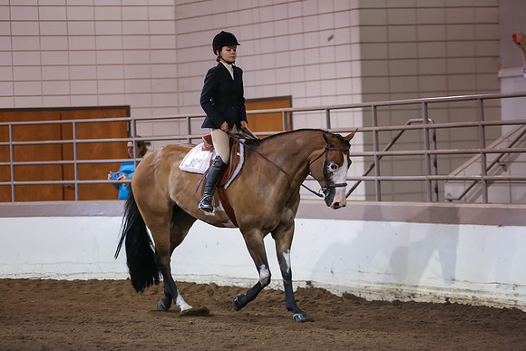 www.ngaphoto.com 2015 Georgia Federation of Saddle Clubs Championship Horse Show