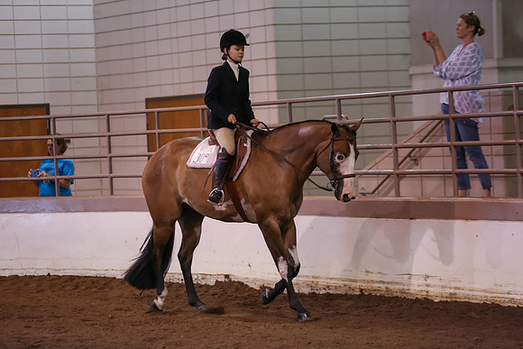 www.ngaphoto.com 2015 Georgia Federation of Saddle Clubs Championship Horse Show