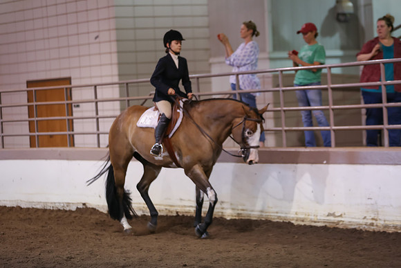 www.ngaphoto.com 2015 Georgia Federation of Saddle Clubs Championship Horse Show