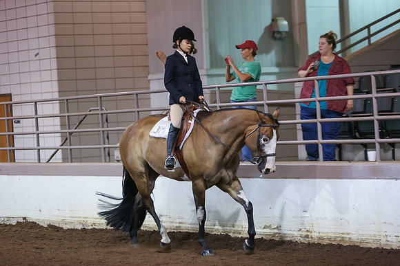 www.ngaphoto.com 2015 Georgia Federation of Saddle Clubs Championship Horse Show