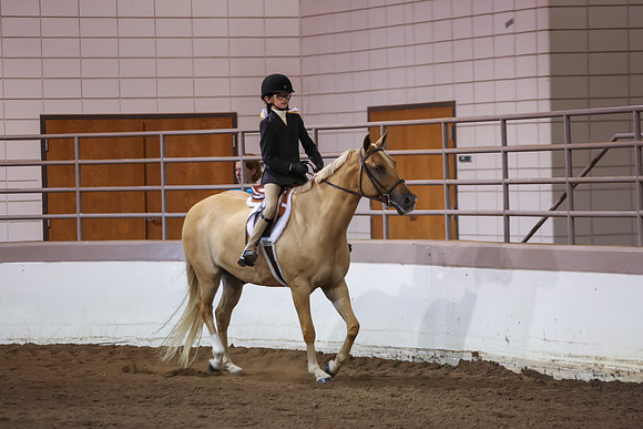 www.ngaphoto.com 2015 Georgia Federation of Saddle Clubs Championship Horse Show