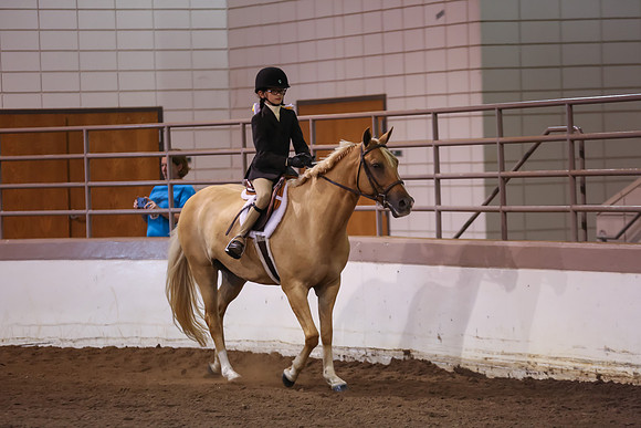 www.ngaphoto.com 2015 Georgia Federation of Saddle Clubs Championship Horse Show