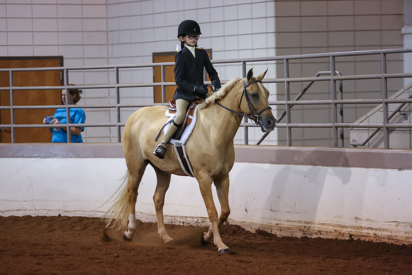 www.ngaphoto.com 2015 Georgia Federation of Saddle Clubs Championship Horse Show