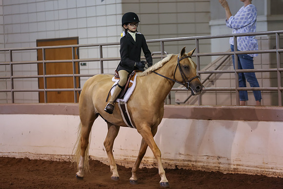 www.ngaphoto.com 2015 Georgia Federation of Saddle Clubs Championship Horse Show