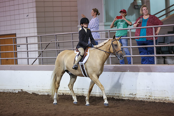 www.ngaphoto.com 2015 Georgia Federation of Saddle Clubs Championship Horse Show