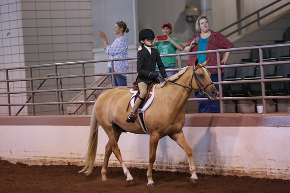 www.ngaphoto.com 2015 Georgia Federation of Saddle Clubs Championship Horse Show