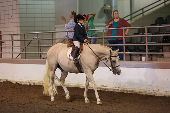 www.ngaphoto.com 2015 Georgia Federation of Saddle Clubs Championship Horse Show