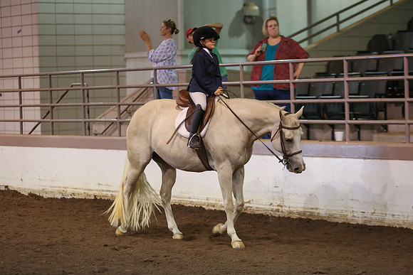 www.ngaphoto.com 2015 Georgia Federation of Saddle Clubs Championship Horse Show