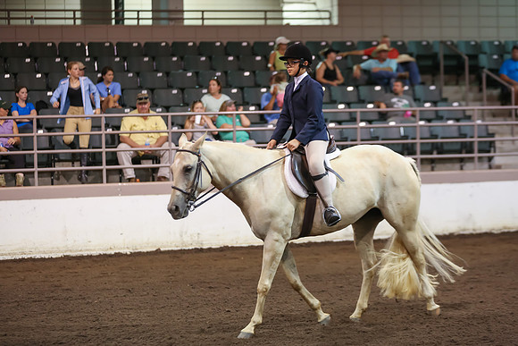 www.ngaphoto.com 2015 Georgia Federation of Saddle Clubs Championship Horse Show