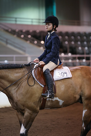 www.ngaphoto.com 2015 Georgia Federation of Saddle Clubs Championship Horse Show