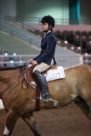 www.ngaphoto.com 2015 Georgia Federation of Saddle Clubs Championship Horse Show