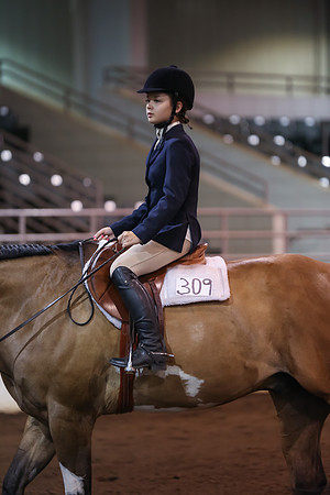 www.ngaphoto.com 2015 Georgia Federation of Saddle Clubs Championship Horse Show