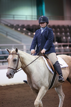 www.ngaphoto.com 2015 Georgia Federation of Saddle Clubs Championship Horse Show