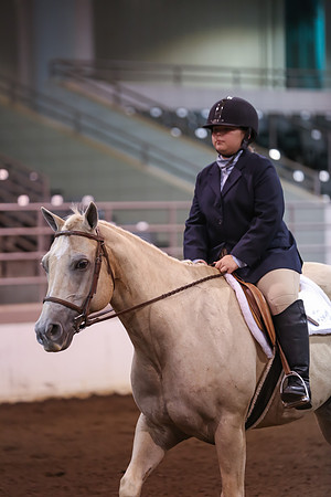 www.ngaphoto.com 2015 Georgia Federation of Saddle Clubs Championship Horse Show