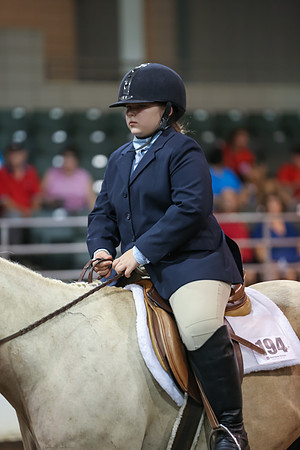 www.ngaphoto.com 2015 Georgia Federation of Saddle Clubs Championship Horse Show