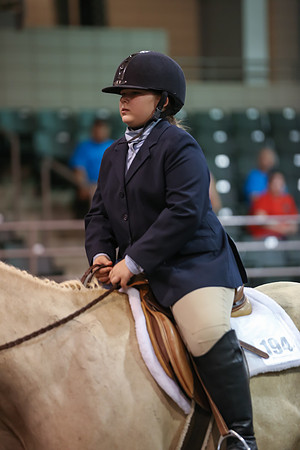 www.ngaphoto.com 2015 Georgia Federation of Saddle Clubs Championship Horse Show