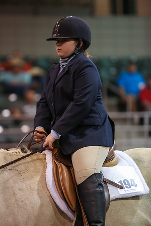 www.ngaphoto.com 2015 Georgia Federation of Saddle Clubs Championship Horse Show