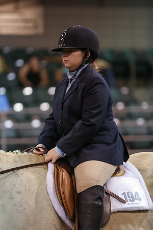 www.ngaphoto.com 2015 Georgia Federation of Saddle Clubs Championship Horse Show