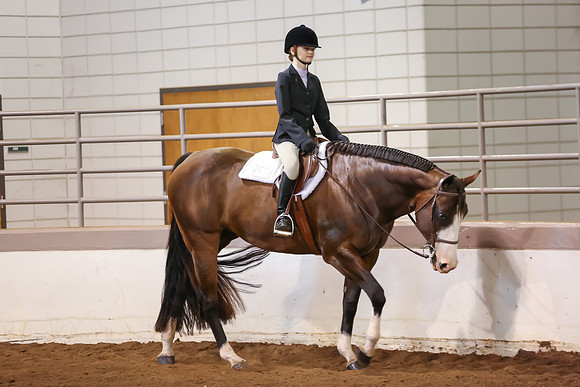 www.ngaphoto.com 2015 Georgia Federation of Saddle Clubs Championship Horse Show