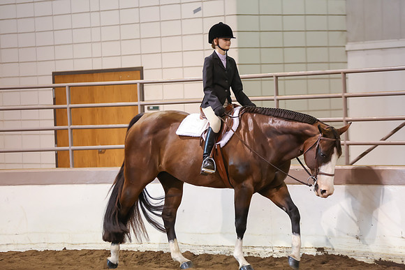 www.ngaphoto.com 2015 Georgia Federation of Saddle Clubs Championship Horse Show