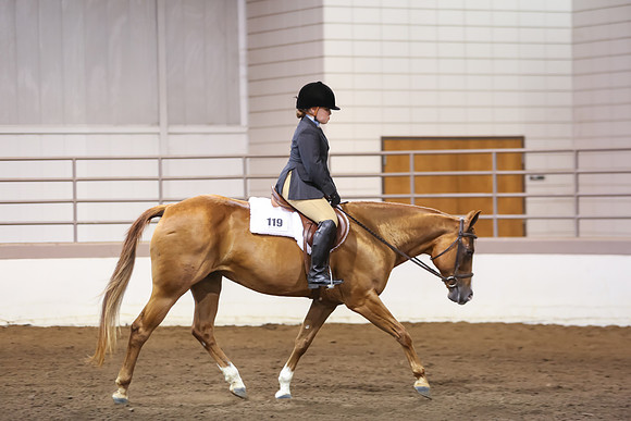 www.ngaphoto.com 2015 Georgia Federation of Saddle Clubs Championship Horse Show
