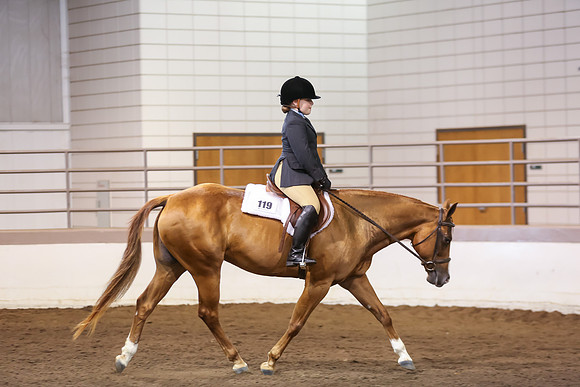 www.ngaphoto.com 2015 Georgia Federation of Saddle Clubs Championship Horse Show