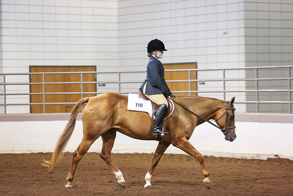www.ngaphoto.com 2015 Georgia Federation of Saddle Clubs Championship Horse Show