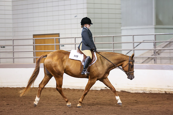 www.ngaphoto.com 2015 Georgia Federation of Saddle Clubs Championship Horse Show