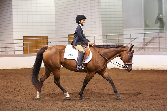 www.ngaphoto.com 2015 Georgia Federation of Saddle Clubs Championship Horse Show